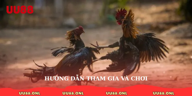 Hướng dẫn tham gia và chơi