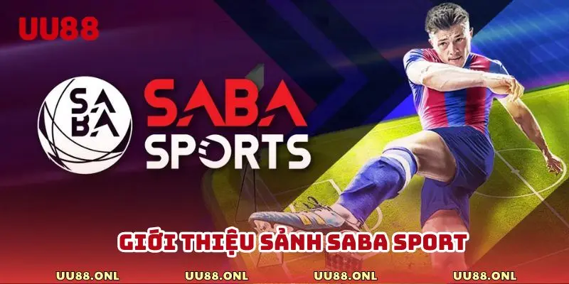 Tìm hiểu sơ lược về nền tảng cá cược trực tuyến SABA Sport